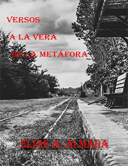 Versos a la vera de la metáfora